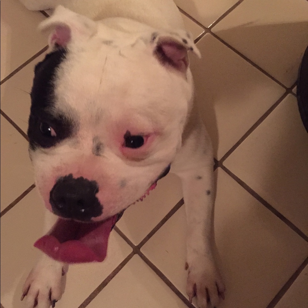 Meet your Posher, Alisa